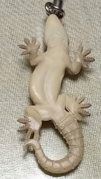 Amazon.co.jp: お願い守って ネイチャーテクニカラーMONO トカゲ